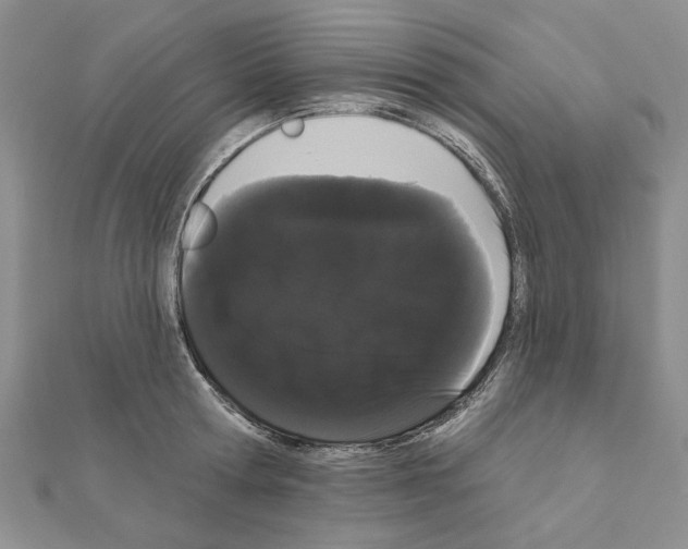 X0000111050802200908061516