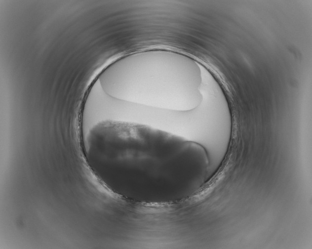 X0000111050806200908061516