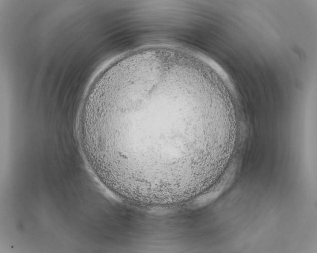 X0000111050807200908061516