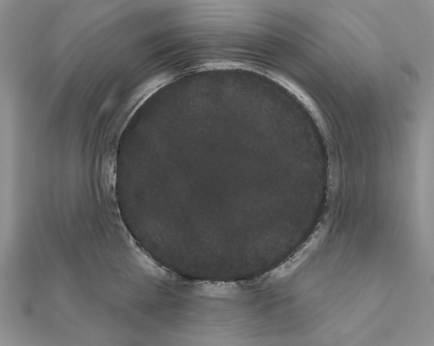 X0000111050809200908061516