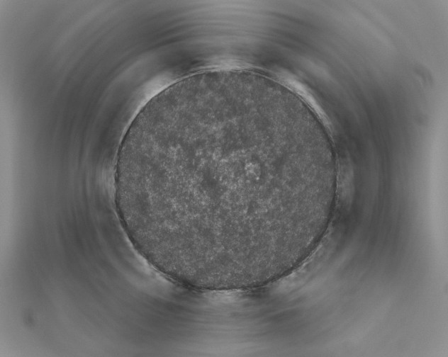 X0000111050810200908061516