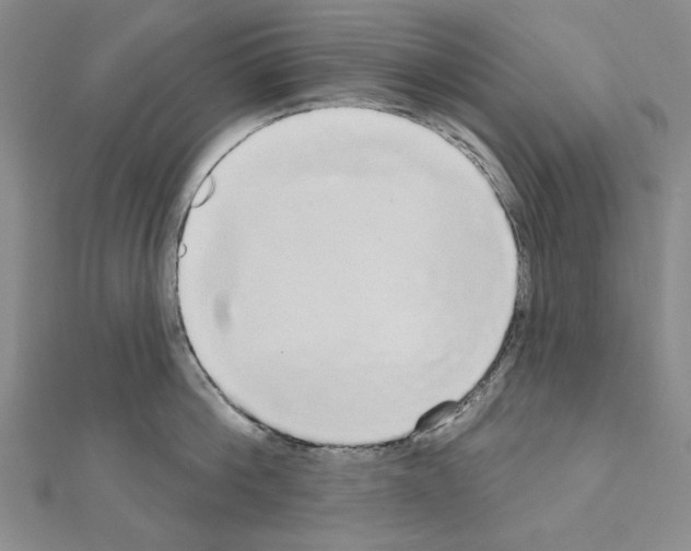 X0000111050812200908061516