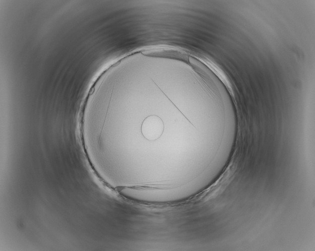 X0000111050813200908061516