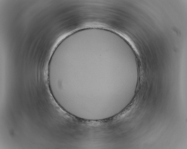 X0000111050815200908061516