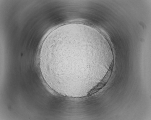 X0000111050816200908061516