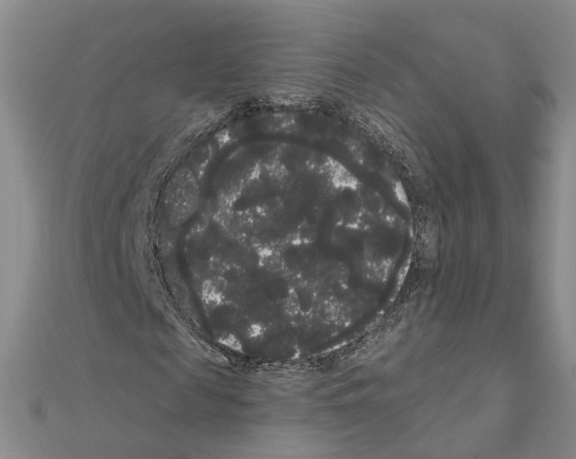 X0000111050817200908061515