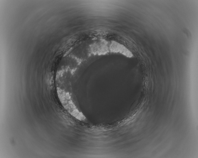 X0000111050818200908061515