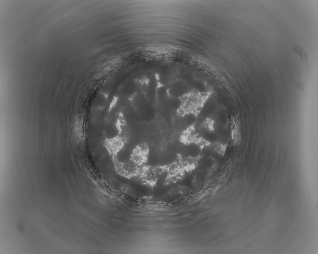 X0000111050819200908061516