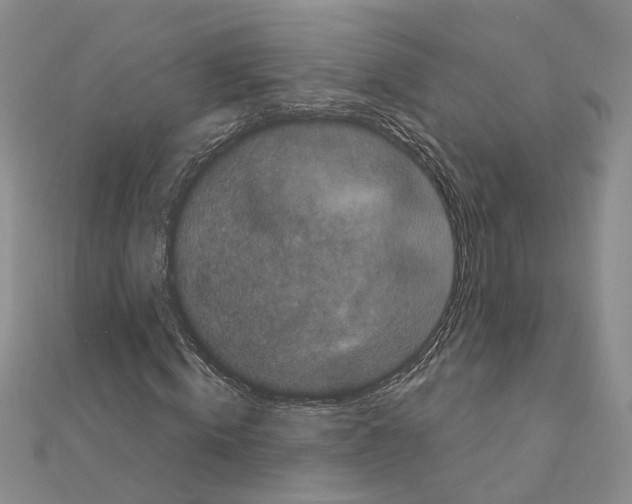 X0000111050820200908061516