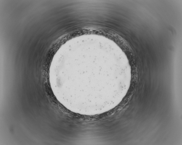 X0000111050821200908061516