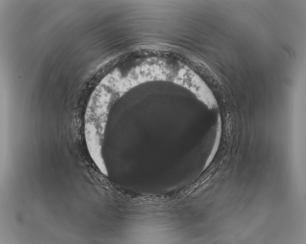 X0000111050822200908061516