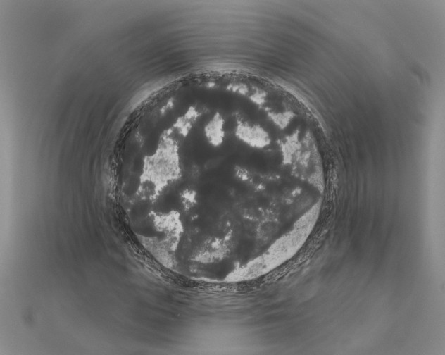 X0000111050823200908061516