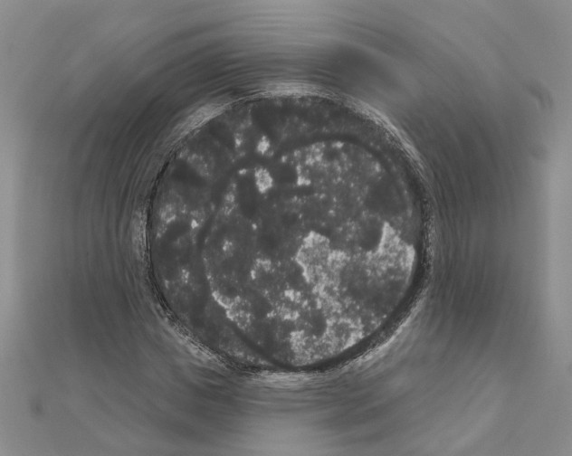 X0000111050825200908061516