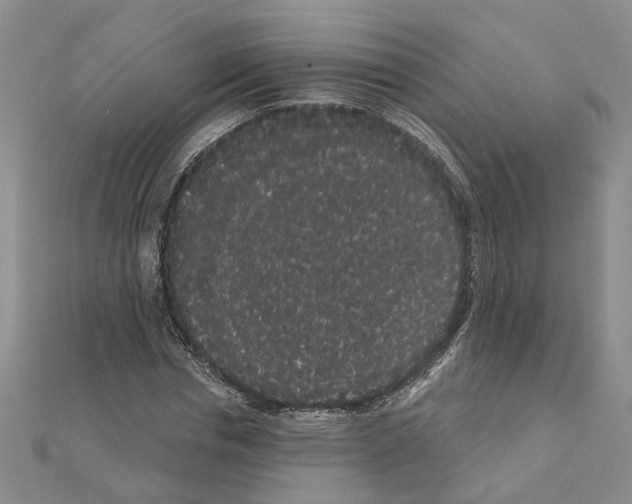 X0000111050826200908061516