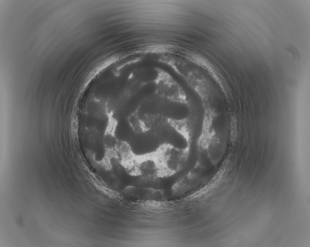 X0000111050827200908061516