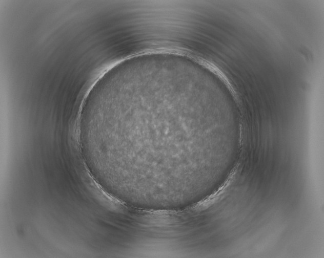 X0000111050828200908061516