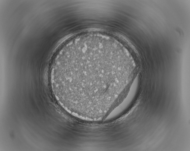 X0000111050829200908061516