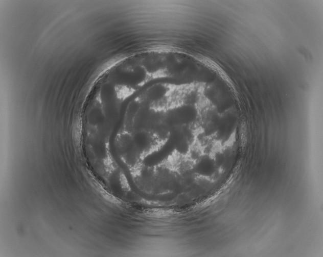 X0000111050831200908061516