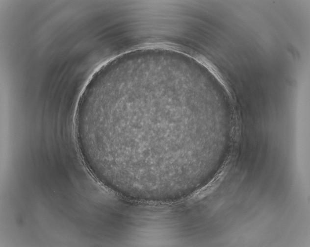 X0000111050832200908061516