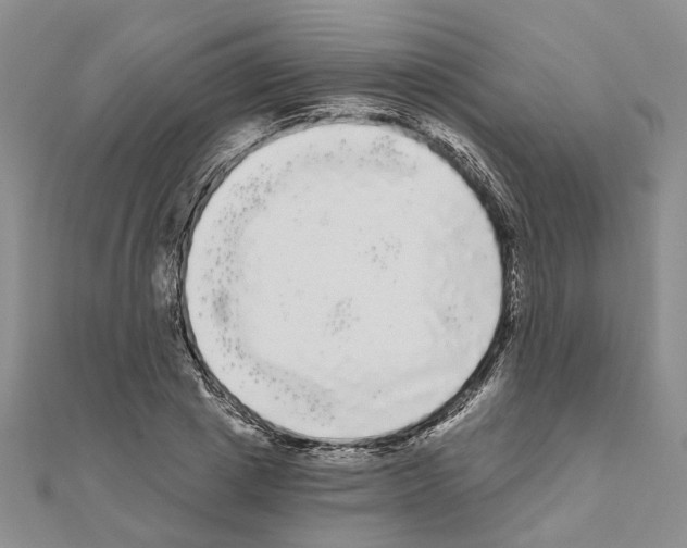 X0000111050833200908061516