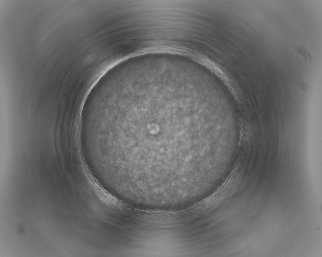 X0000111050836200908061516