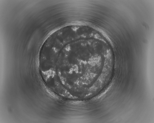 X0000111050837200908061516