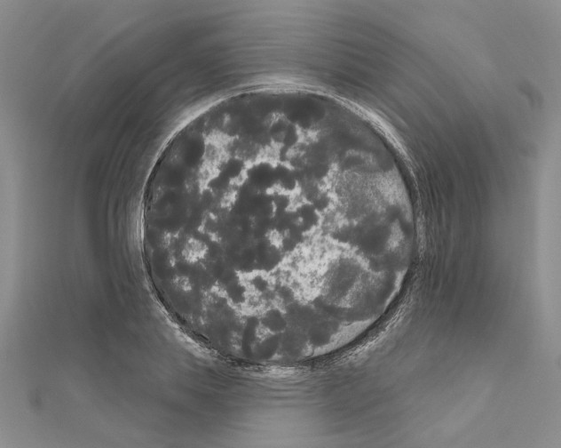 X0000111050839200908061516