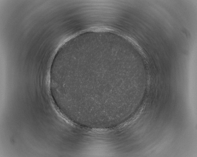 X0000111050840200908061516