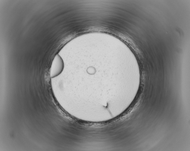 X0000111050841200908061516