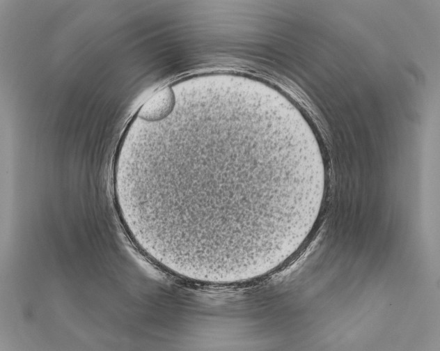 X0000111050842200908061516