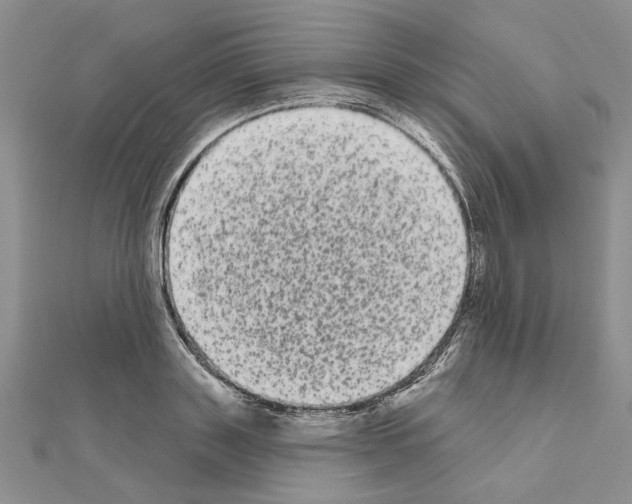 X0000111050843200908061516