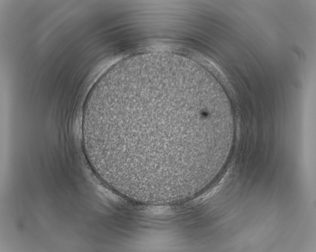 X0000111050844200908061516