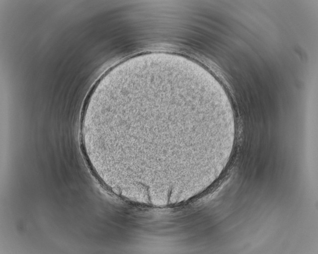 X0000111050845200908061516