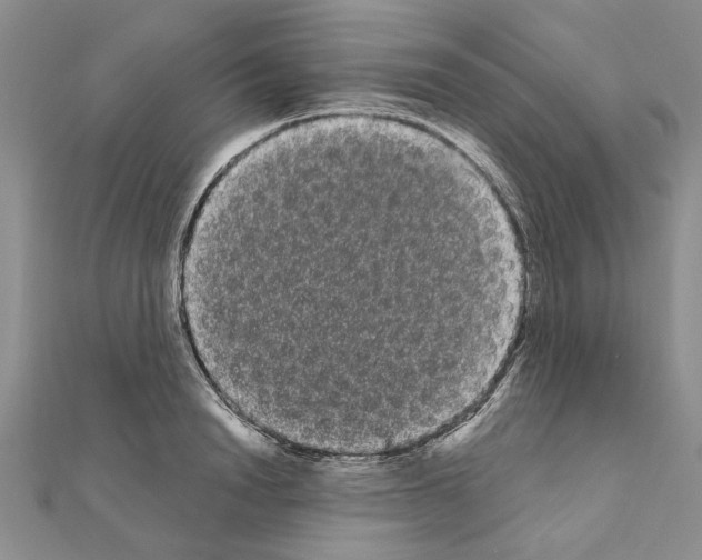 X0000111050846200908061516