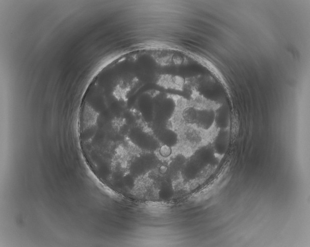 X0000111050847200908061516