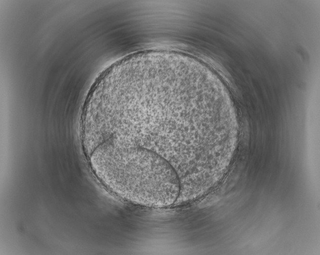 X0000111050848200908061516