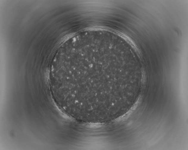 X0000111050849200908061516