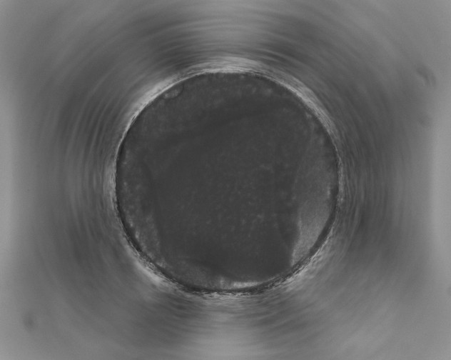 X0000111050850200908061516