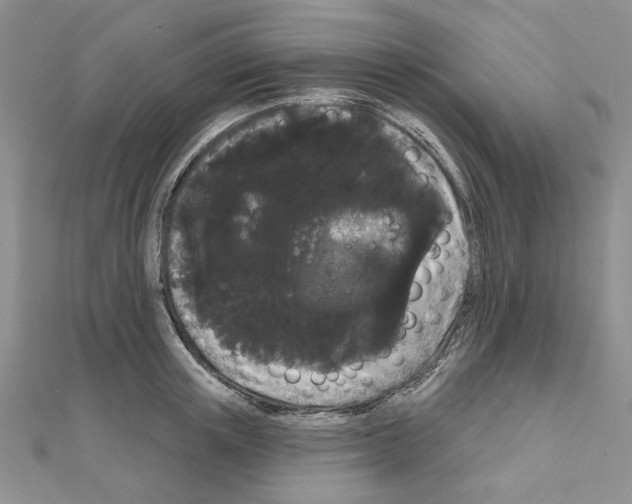 X0000111050851200908061516