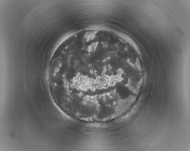 X0000111050855200908061516