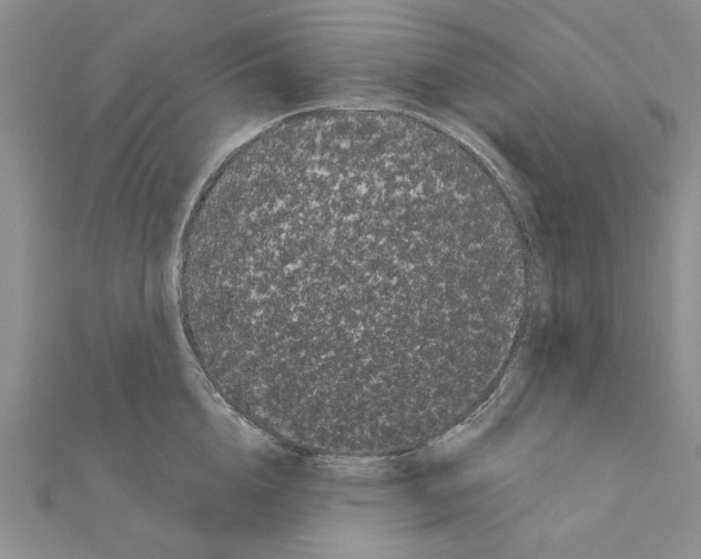 X0000111050856200908061516