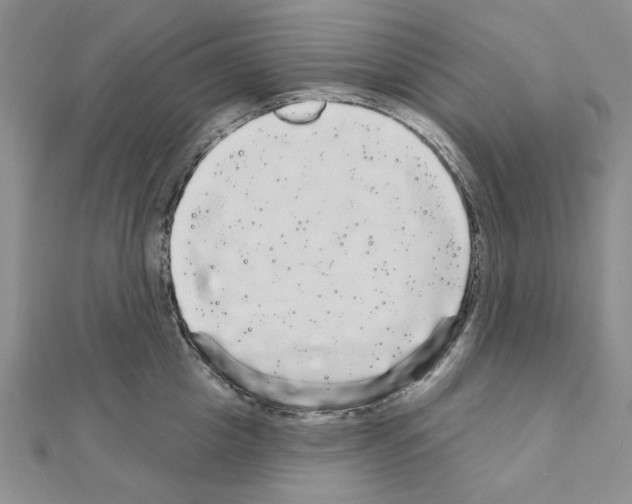 X0000111050857200908061516