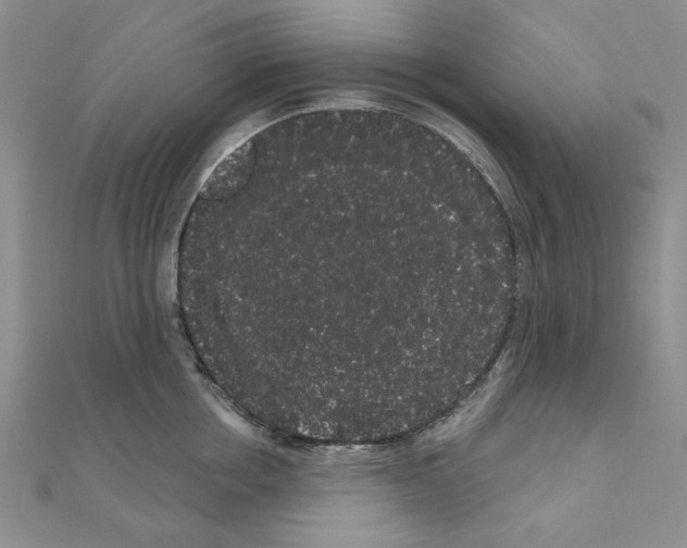 X0000111050858200908061516