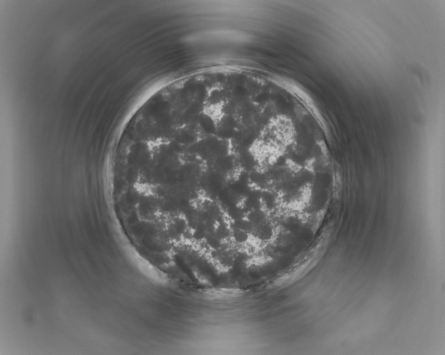 X0000111050859200908061516