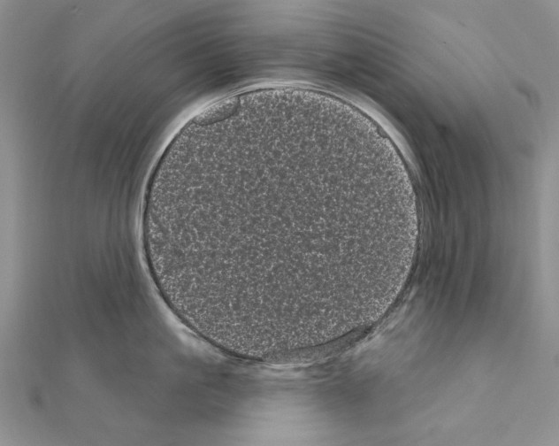 X0000111050861200908061516