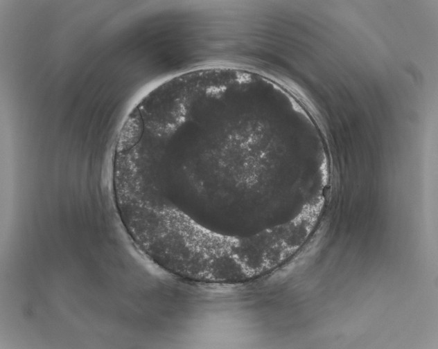 X0000111050862200908061516