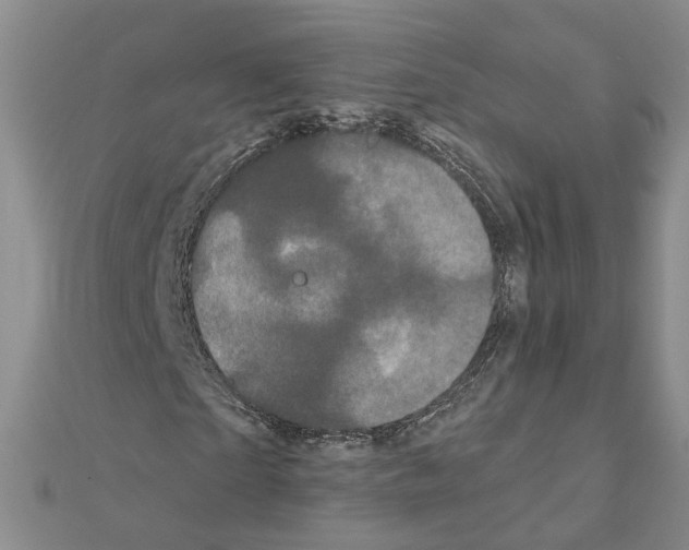 X0000111050865200908061515