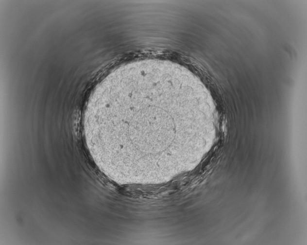 X0000111050867200908061515