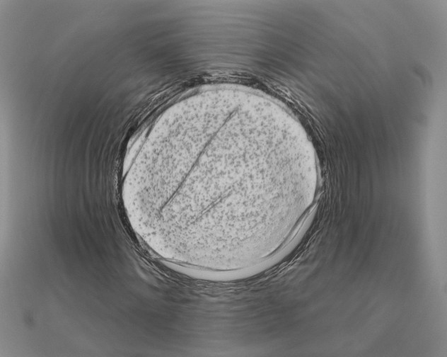 X0000111050868200908061515