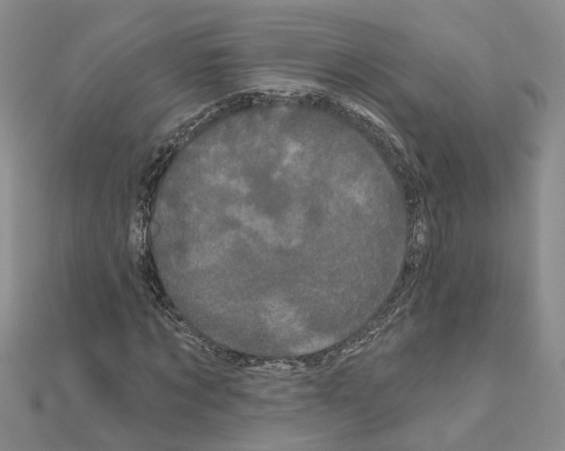 X0000111050869200908061515